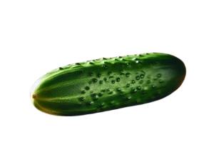 Concombre frais