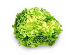 Salade verte fraîche